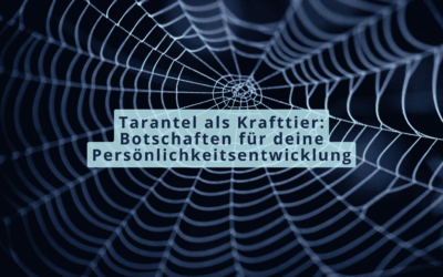 Tarantel als Krafttier: Botschaften für deine Persönlichkeitsentwicklung